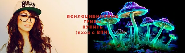 гидра Аркадак