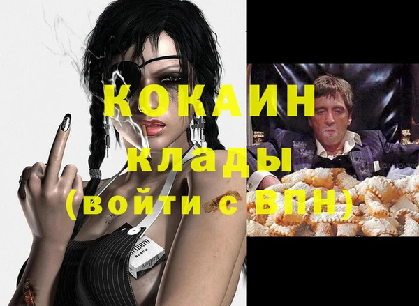 амф Арсеньев
