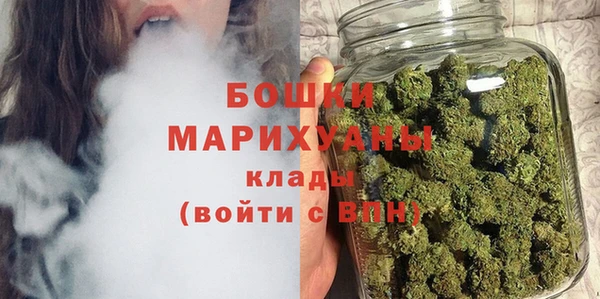 гидра Аркадак