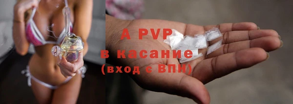гидра Аркадак