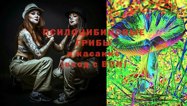 а пвп мука Армянск