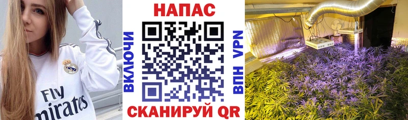 Каннабис гибрид  kraken ONION  Галич  купить  